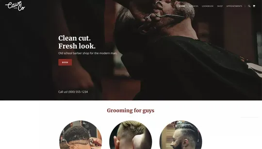 Cave & Co website template preview