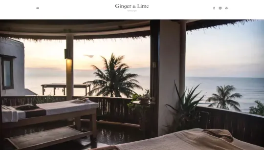 Ginger & Lime website template preview