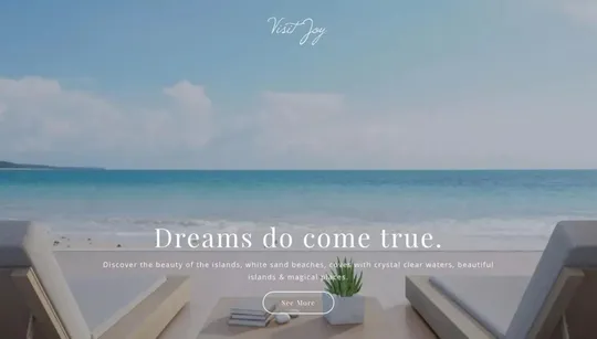 Visit Joy website template preview
