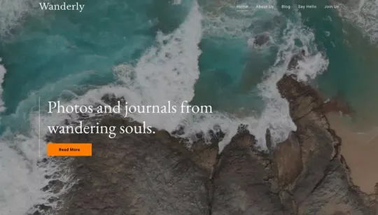 Wanderly website template preview