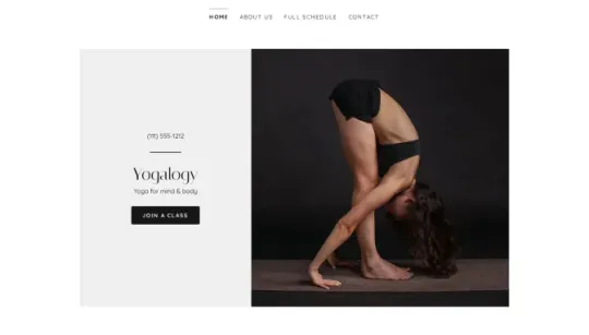 Yogalogy website template preview