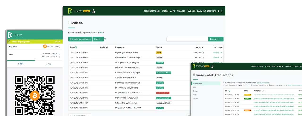 BTCPay interface