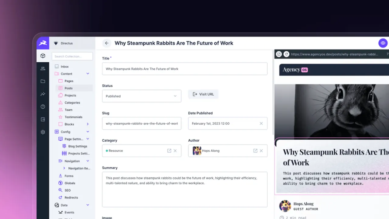 Directus interface