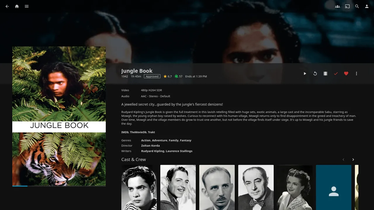 Jellyfin interface