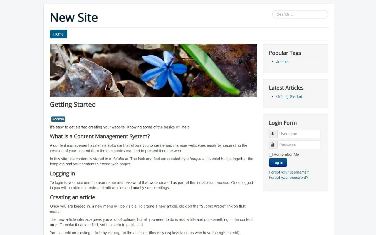 Joomla screenshot 2