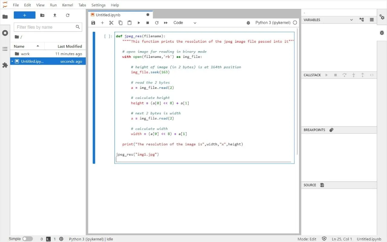 Jupyter Notebook screenshot 2