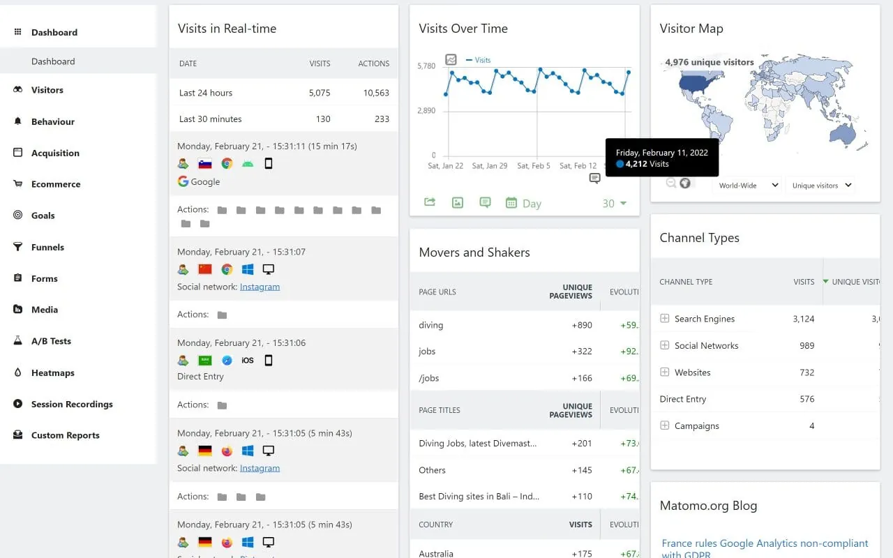 Matomo interface