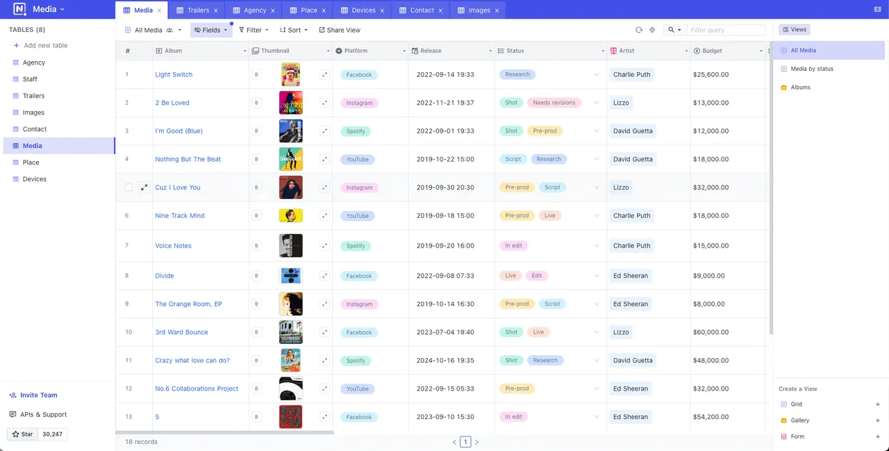 NocoDB interface