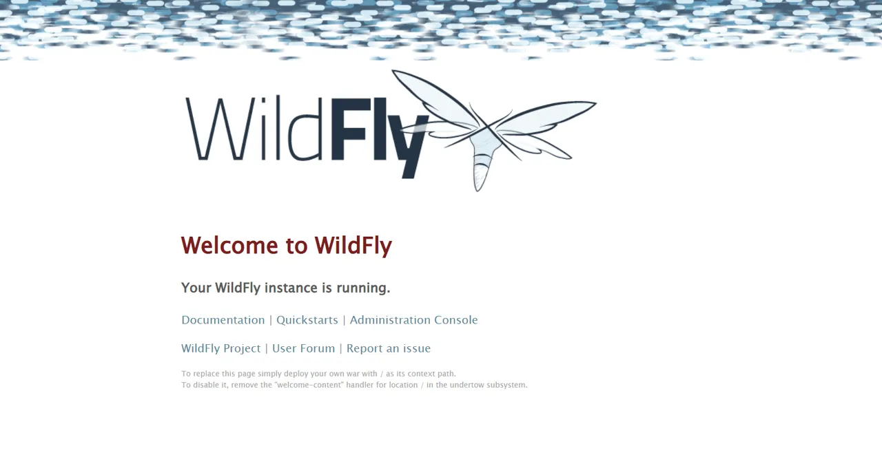 WildFly screenshot 2